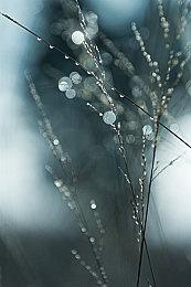 《Marko: Beyond Brave》Steam试玩发布 银河恶魔城新游